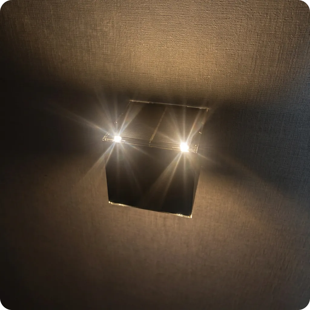 venere-bovenaf 1.webp