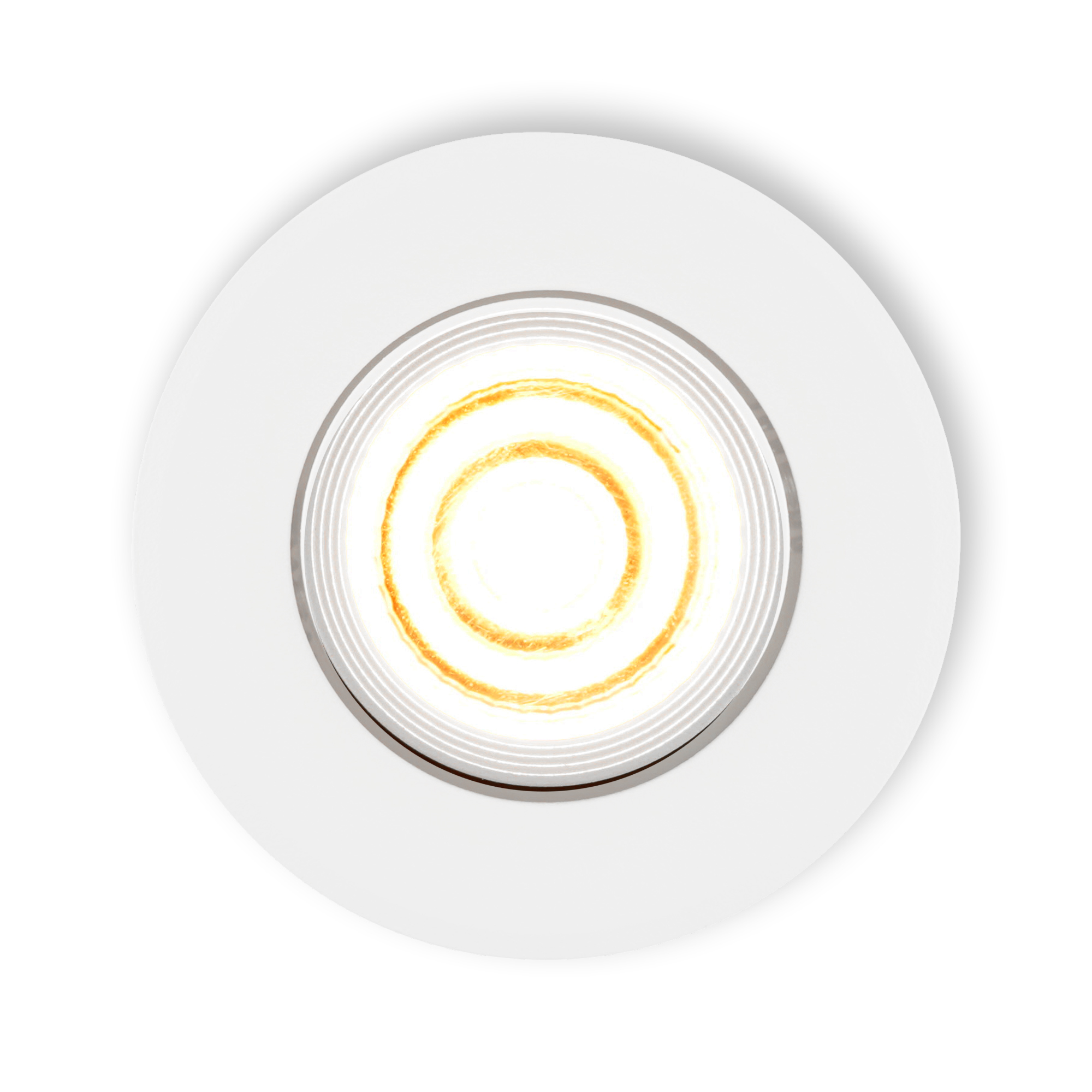 Fioli_wit_top_lighton_25.jpg
