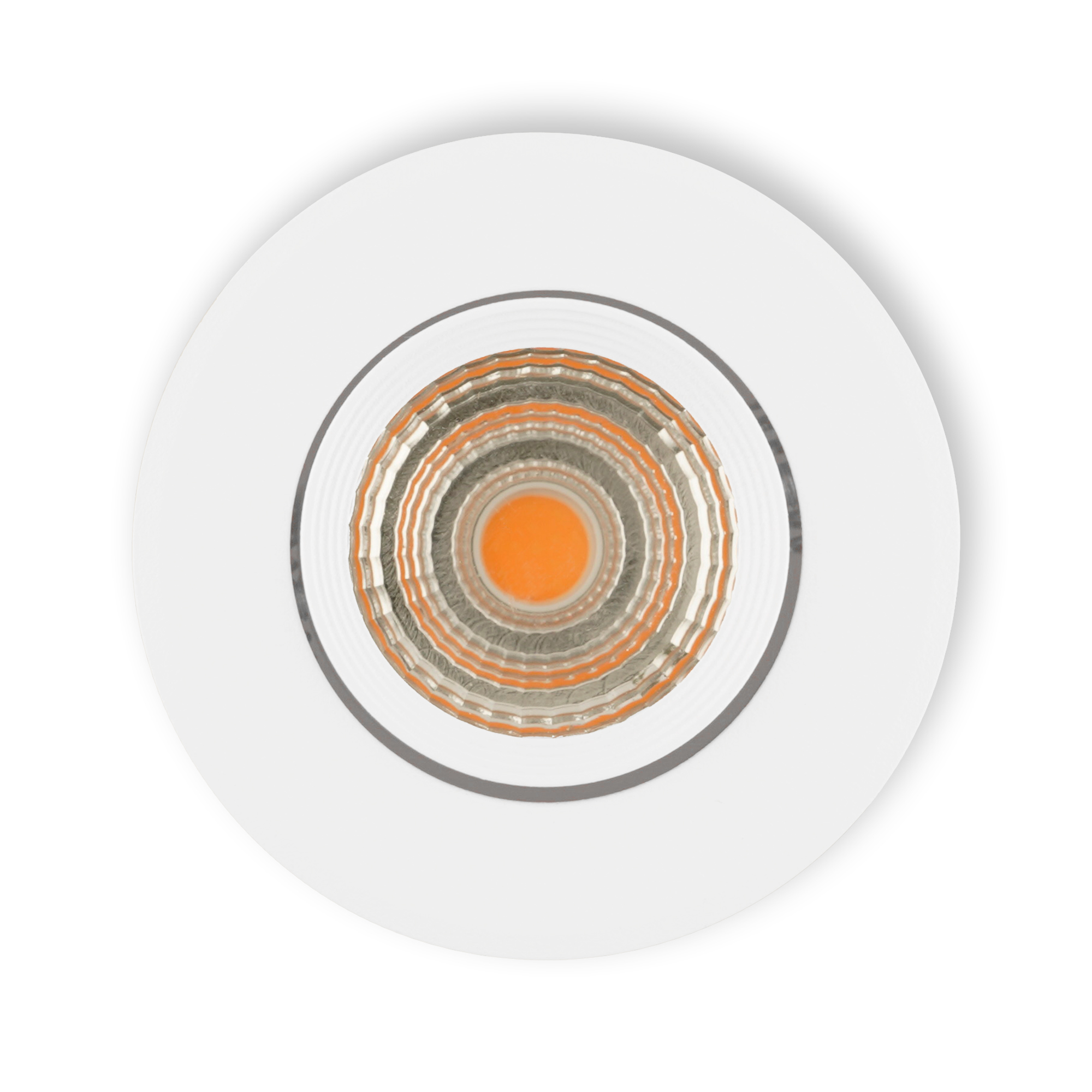 Fioli_wit_top_lightoff_25.jpg