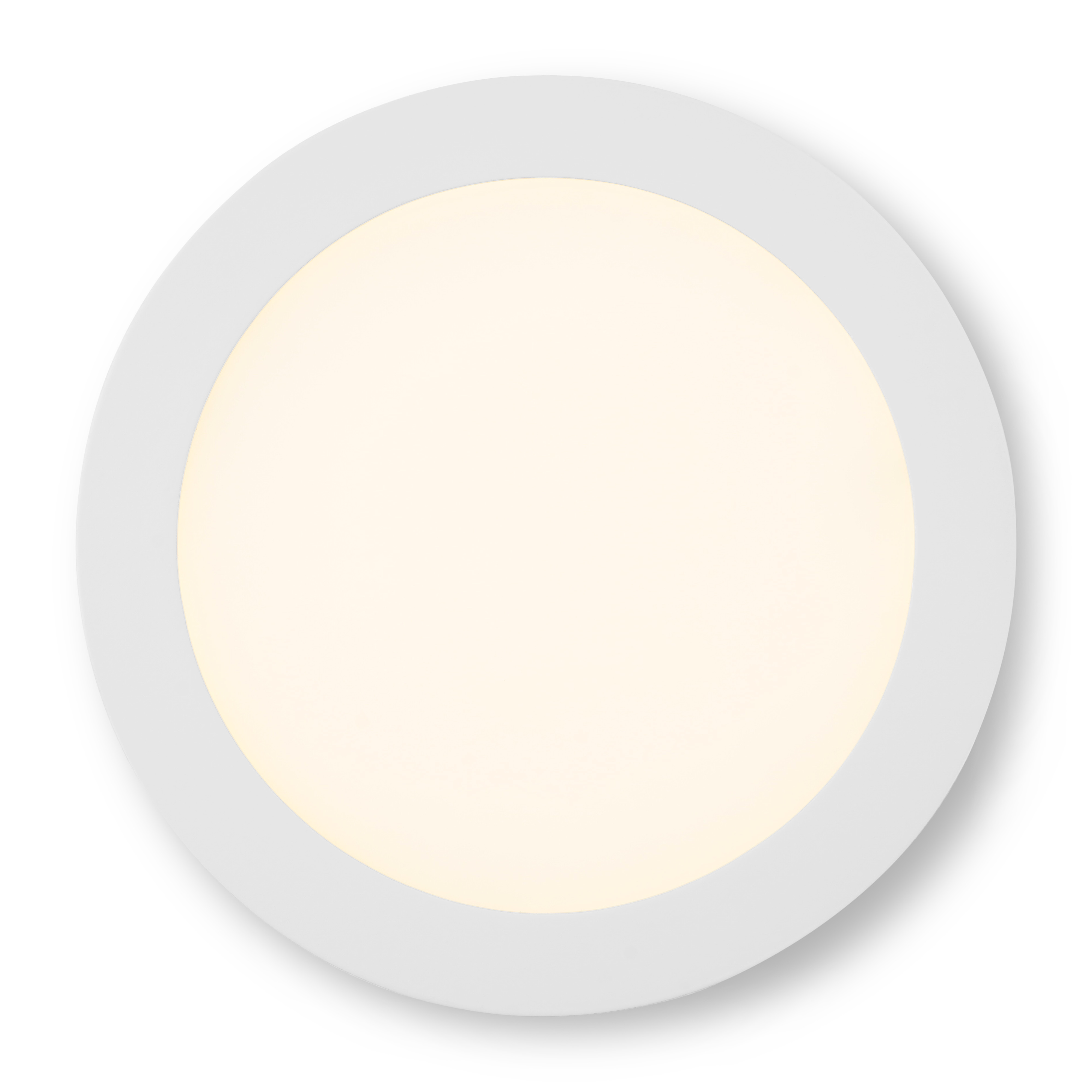 Provetta_222_30k_top_lighton.jpg