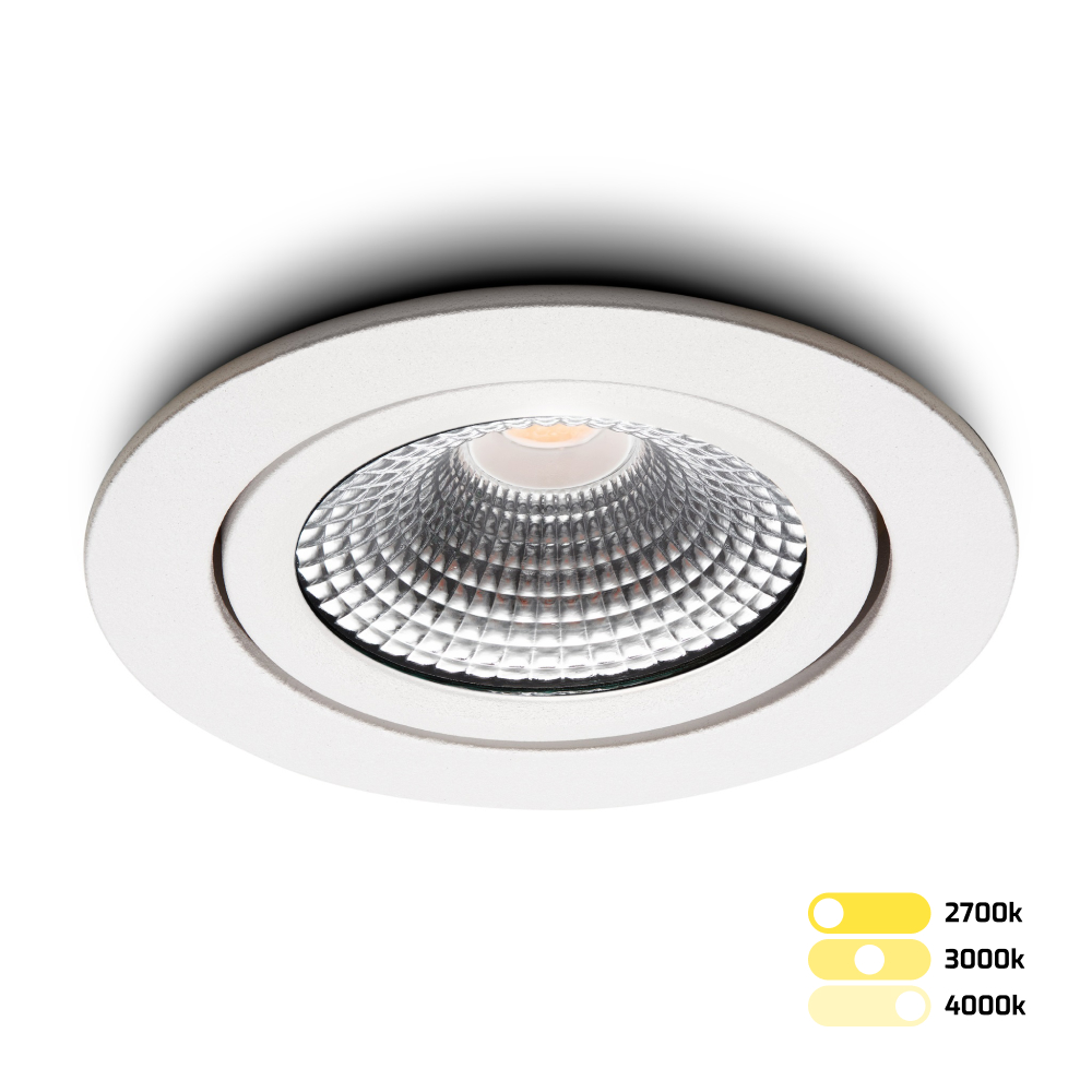 2024_Vivaro-WIT-tri_color.jpg 2024_Vivaro-WIT-tri_color.jpg