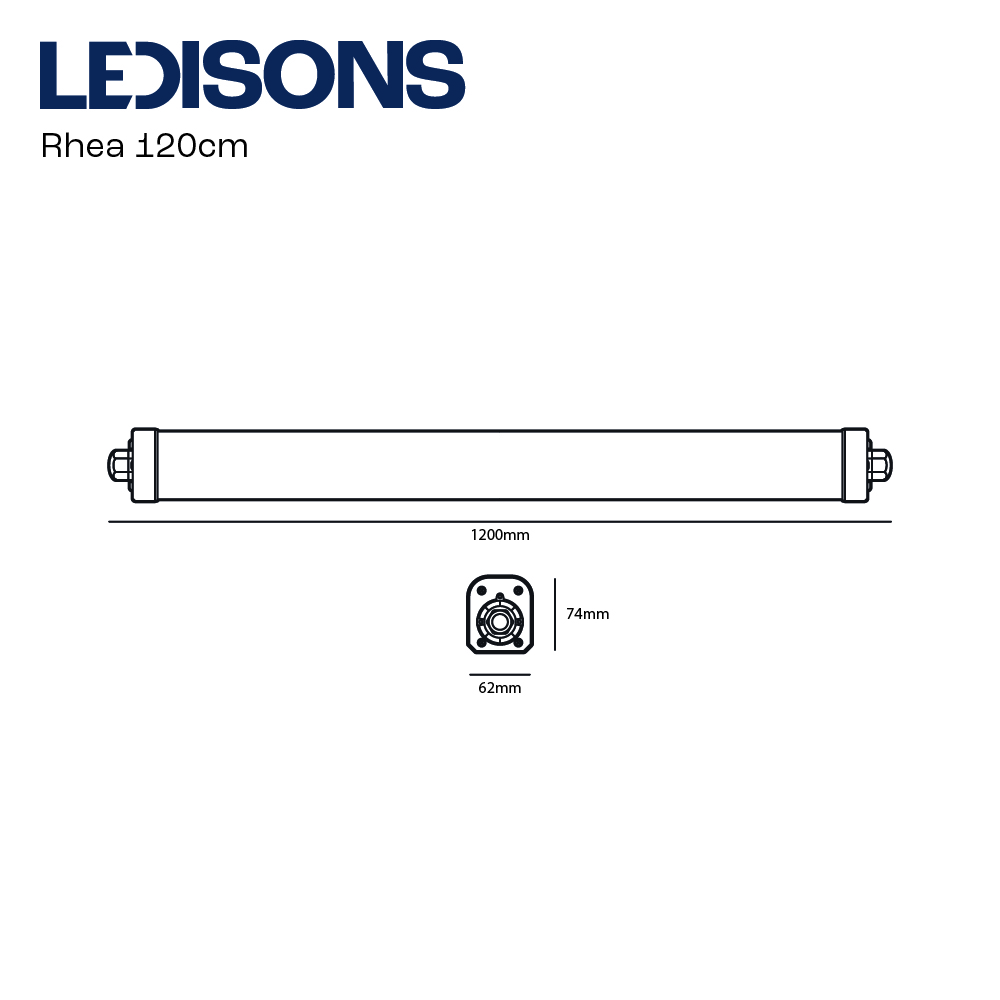 Rhea-120cm.jpg Rhea-120cm.jpg