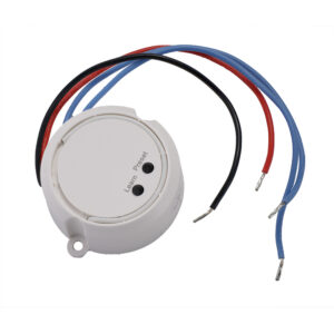 Empfänger RF-Fernbedienung Phasenschnitt 0-50 W